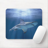 Tapis De Souris Cruising Shark (Avec souris)