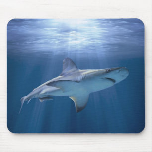 Tapis De Souris Cruising Shark