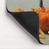 Tapis De Souris Crustacés, crabes, mer (Coin)