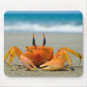 Tapis De Souris Crustacés, crabes, mer
