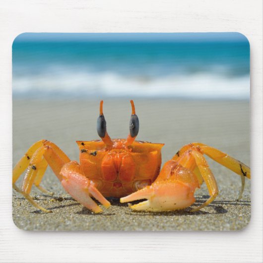 Tapis De Souris Crustacés, crabes, mer (Devant)