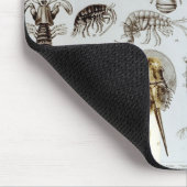 Tapis De Souris Crustacés et arachnides (Coin)
