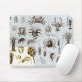 Tapis De Souris Crustacés et arachnides (Avec souris)