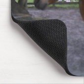 Tapis De Souris Cruz appelé par cheval (Coin)