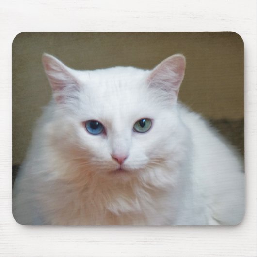 Tapis De Souris Crystal (Devant)