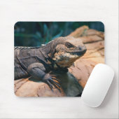 Tapis De Souris Ctenosaura melanosterna (Avec souris)
