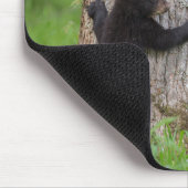 Tapis De Souris Cube d'ours noir | Great Smoky Mountains (Coin)