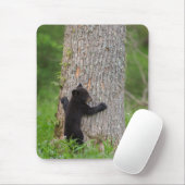 Tapis De Souris Cube d'ours noir | Great Smoky Mountains (Avec souris)