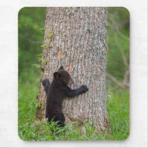 Tapis De Souris Cube d'ours noir   Great Smoky Mountains