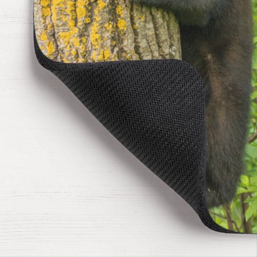 Tapis De Souris Cube d'ours noir | Minnesota (Coin)