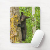 Tapis De Souris Cube d'ours noir | Minnesota (Avec souris)