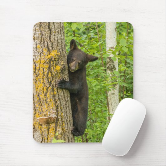 Tapis De Souris Cube d'ours noir | Minnesota (Avec souris)