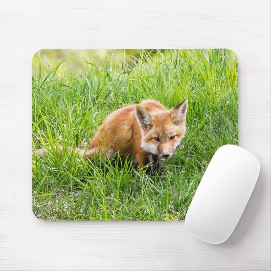 Tapis De Souris Cube Fox (Avec souris)