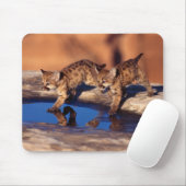 Tapis De Souris Cubes de Lion Pad-Mountain (Avec souris)