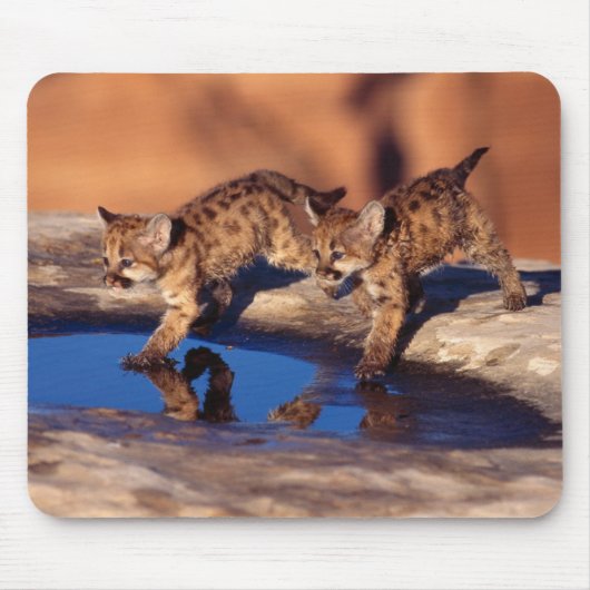 Tapis De Souris Cubes de Lion Pad-Mountain (Devant)