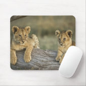 Tapis De Souris Cubes de lion sur le journal (Avec souris)