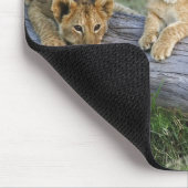 Tapis De Souris Cubes de lion sur le journal (Coin)