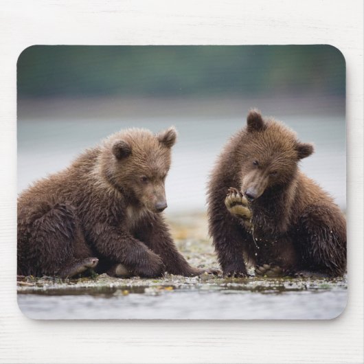 Tapis De Souris Cubes d'ours Brown au ruisseau (Devant)