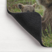 Tapis De Souris Cubs d'ours Brown se léchant avec leur mère (Coin)