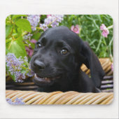 Tapis De Souris Cuisine Black Labrador Retriever Chien Chiot Chiot (Devant)