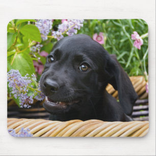 Tapis De Souris Cuisine Black Labrador Retriever Chien Chiot Chiot