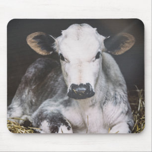 Tapis De Souris Culture occupée de jour