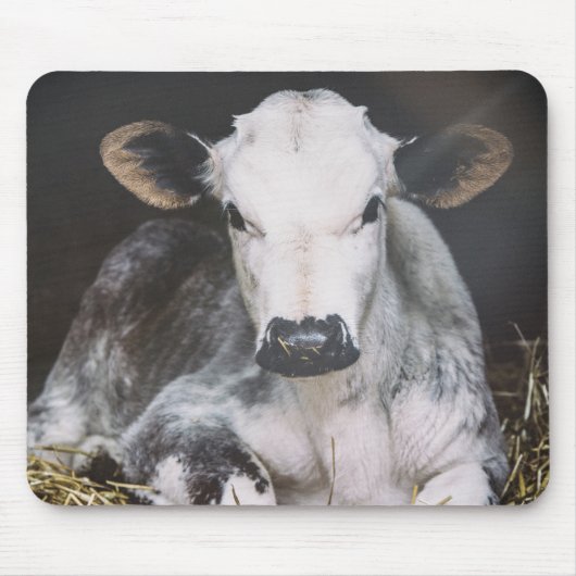 Tapis De Souris Culture occupée de jour (Devant)