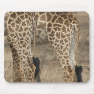 Tapis De Souris Cultures serrées de deux Giraffes (Giraffa