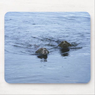 Tapis De Souris cumbria Angleterre de secteur de lac