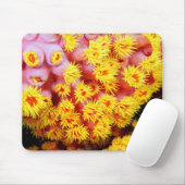 Tapis De Souris cupcoral (Avec souris)