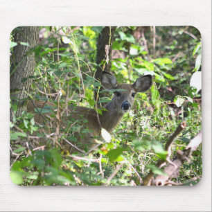 Tapis De Souris Curieux cerf de Virginie