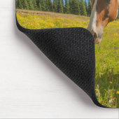 Tapis De Souris Curieux Cheval dans une prairie alpine en été (Coin)