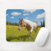 Tapis De Souris Curieux Cheval dans une prairie alpine en été (Avec souris)