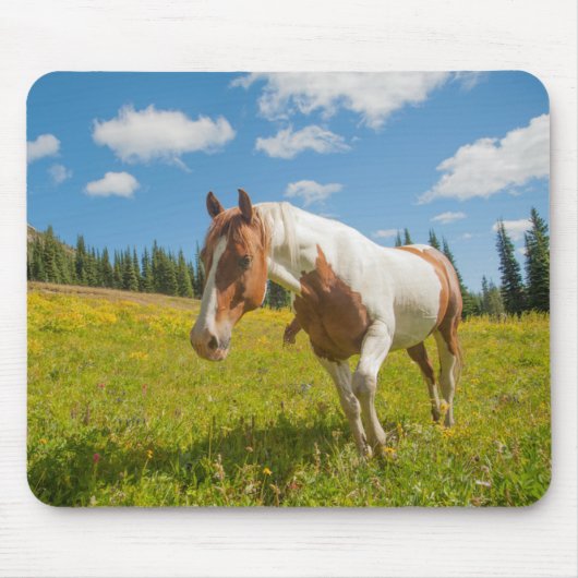 Tapis De Souris Curieux Cheval dans une prairie alpine en été (Devant)
