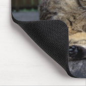 Tapis De Souris Cute Chat Interrompu En Grooming (Coin)