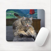 Tapis De Souris Cute Chat Interrompu En Grooming (Avec souris)