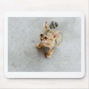 Tapis De Souris Cute chaton chaton sauvage
