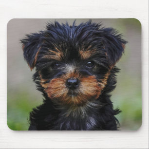 Tapis De Souris Cute chiot Yorkie