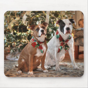 Tapis De Souris Cute Christmas Rescue Pitbull and America Bull Dog