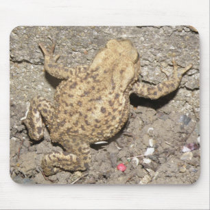 Tapis De Souris Cute Crawling Toad Mousepad