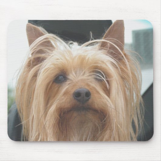 Tapis De Souris Cute Doggie Mousepad (Devant)