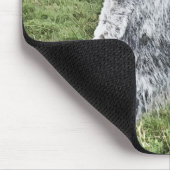 TAPIS DE SOURIS CUTE DONKEY (Coin)