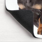 Tapis De Souris Cute Doxin Chiot Wiener Aimer Chien Maman Dachshun (Coin)