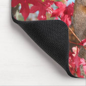Tapis De Souris Cute écureuil (Coin)