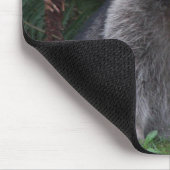 Tapis De Souris Cute Forest Raccoon Photo Faune (Coin)