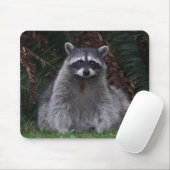 Tapis De Souris Cute Forest Raccoon Photo Faune (Avec souris)