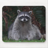 Tapis De Souris Cute Forest Raccoon Photo Faune (Devant)