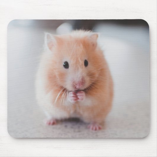 Tapis De Souris Cute Hamster Aimer Animaux (Devant)
