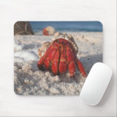 Tapis De Souris Cute Hermit Crabe sur White Sandy Beach Closeuse (Avec souris)