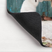 Tapis De Souris Cute Kitten Chasing Tail de maman's Tail Funny Cha (Coin)